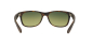 Preview: Ray Ban RB 2132  894/76  NEW WAYFARER - POLARIZED "NEU"