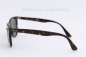 Preview: Ray Ban RB 2185  902-31  WAYFARER II  "NEW"