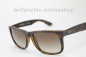 Preview: Ray Ban RB 4165 710/13 JUSTIN "NEU"