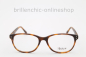 Preview: BERLIN EYEWEAR - GLIENICKE C19 "NEU"