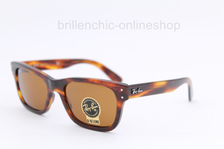 Ray Ban RB 2283 954/33 MR BURBANK "NEU"