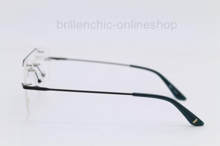 BERLIN EYEWEAR - CHAMISSOKIEZ  C 1  "NEU"