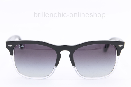 Ray Ban RB 4487 c. 66308G STEVE "NEU"