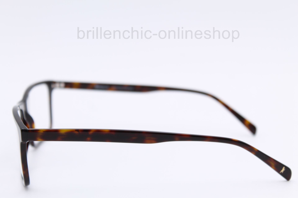 BERLIN EYEWEAR - TEMPODROM C 21 "NEW"
