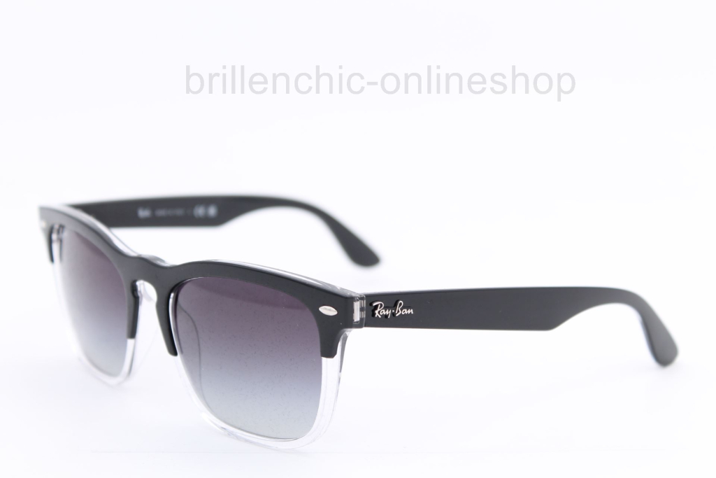 Ray Ban RB 4487 c. 66308G STEVE "NEU"