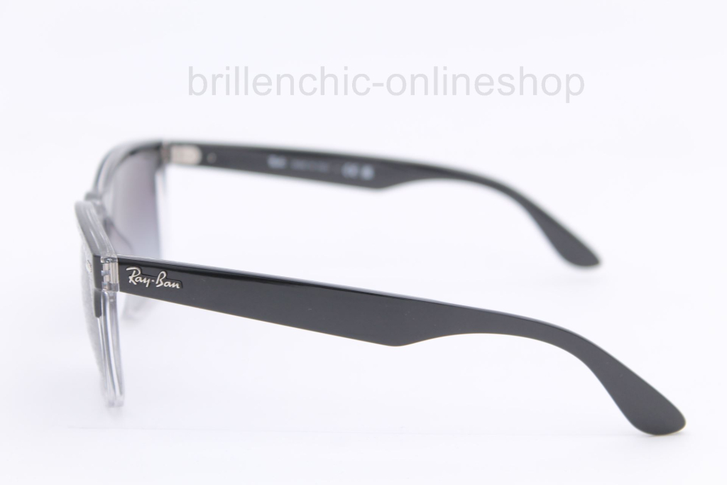 Ray Ban RB 4487 c. 66308G STEVE "NEU"