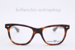 AMERICAN OPTICAL SARATOGA SA100 / SA118  tortoise "NEW"